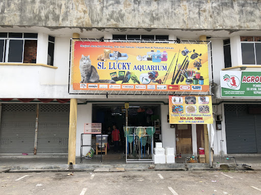 SL Lucky Aquarium Petshop & Fishing Acces (Cwg 2) SL Lucky Aquarium Petshop & Fishing Acces (Cwg 2)