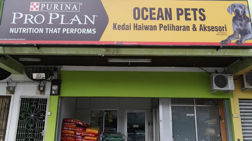 Ocean Pets