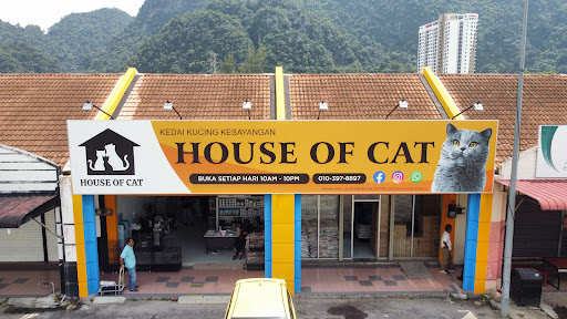 HOUSE OF CAT Perak HOUSE OF CAT Perak