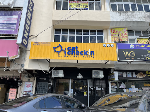 Cat Check-in Ipoh