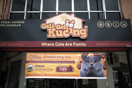 Geli Geli Kucing - Kuala Kangsar