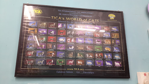 PLC Pets Loving and Care