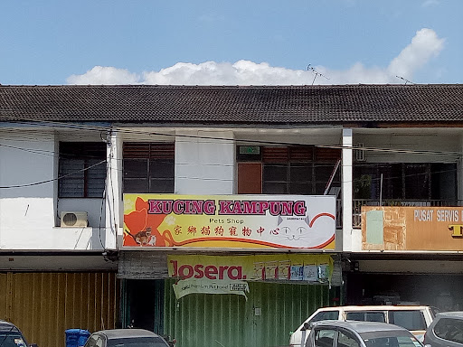Kucing Kampung Pets Shop Kucing Kampung Pets Shop