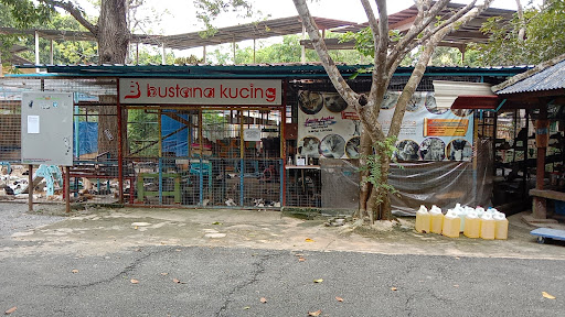 Bustana Kucing Perlis