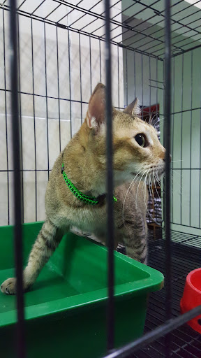 Mesra Pet Shop Mesra Pet Shop