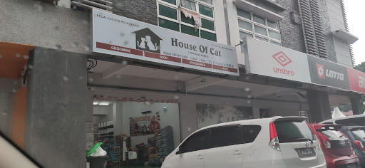 House of Cat House of Cat