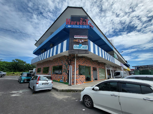 Harvest Fish & Pet SDN BHD (Putatan Branch) Harvest Fish & Pet SDN BHD (Putatan Branch)