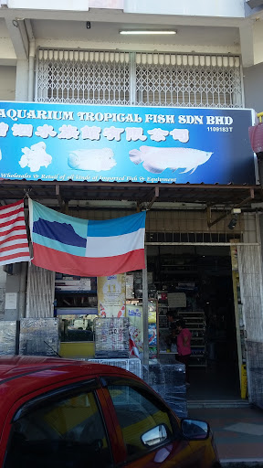 Chang Aquarium Tropical Fish Chang Aquarium Tropical Fish