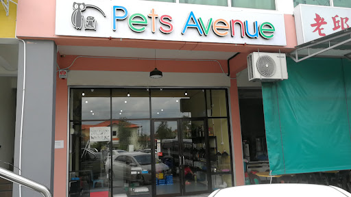 Pets Avenue J5