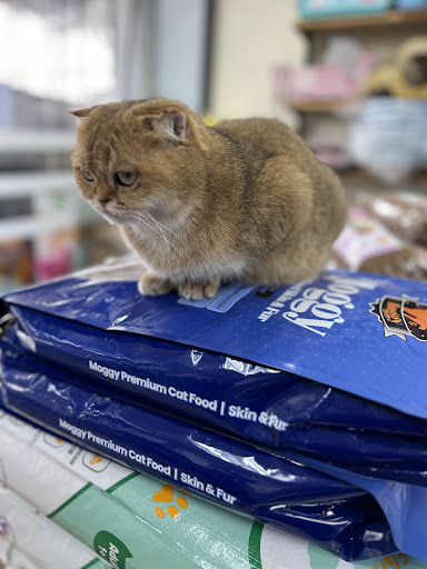 JJ Pet Shop Kuching @MJC Batu Kawa