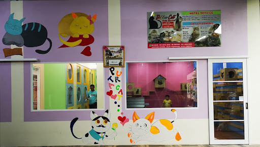 Putra Cat Hotel Service