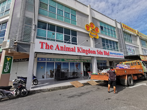 The Animal Kingdom Sdn Bhd Miri Branch The Animal Kingdom Sdn Bhd Miri Branch