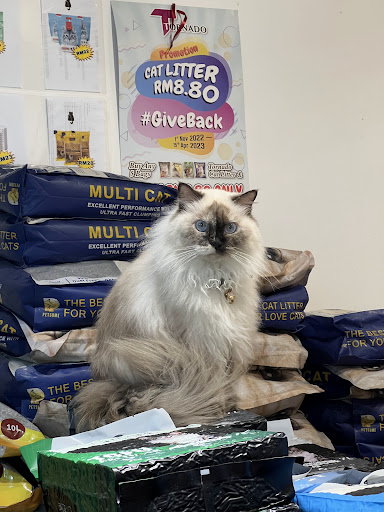 Royal Catty Pet Shop