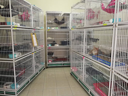 Kitty Hotel: Cat Boarding and Cat Grooming Kitty Hotel: Cat Boarding and Cat Grooming