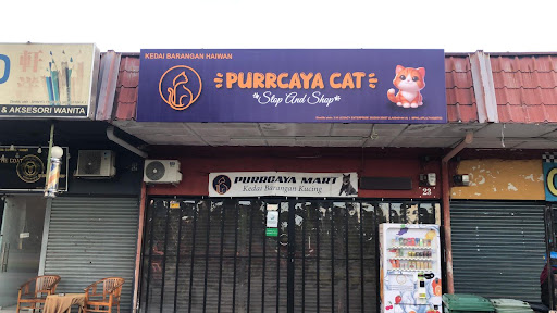 Purrcaya Cat ~Stop & Shop~