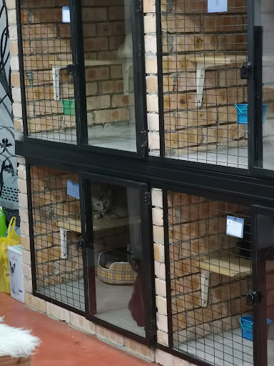 Gimmo Petshop Gimmo Petshop