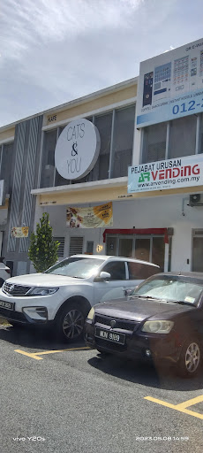 Cats & You Cafe