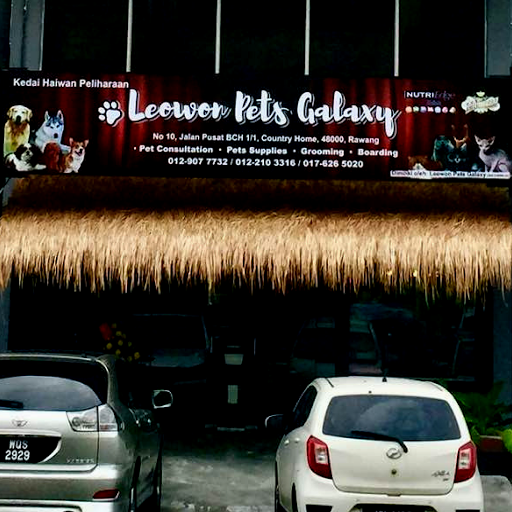 Leowon Pets Galaxy