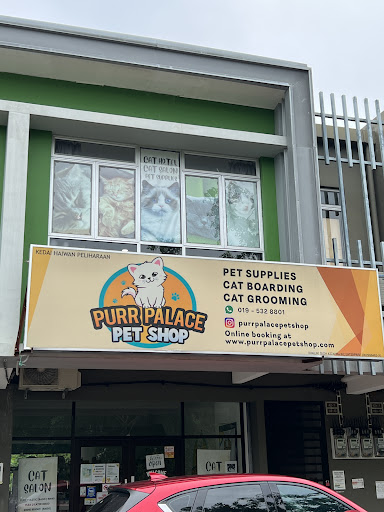 Purr Palace Pet Shop Cat Boarding Cat Grooming KLIA Sepang Salak Tinggi