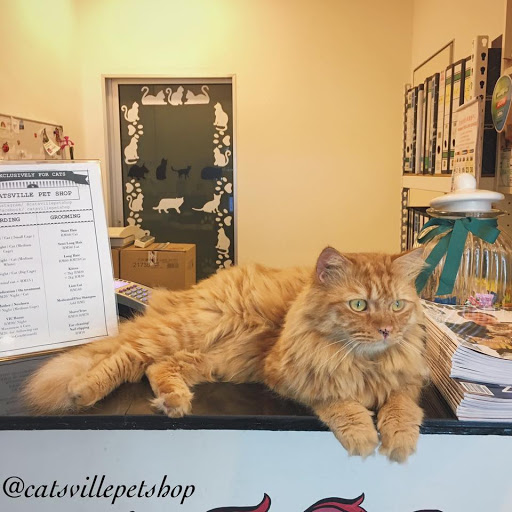 Catsville Pet Shop