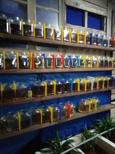 Ery Betta Besut Terengganu