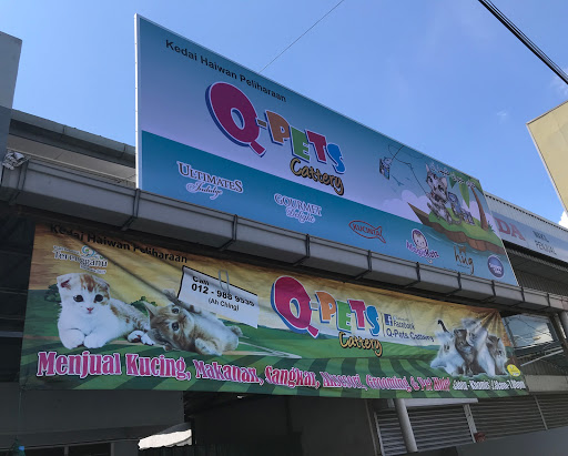 Q-Pets Cattery Kedai Kucing Kuala Terengganu
