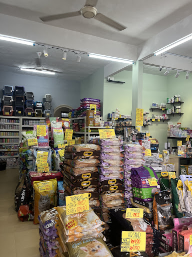 Eppy Cat House (Wakaf Mempelam) - Pet Shop Kedai Kucing Terengganu