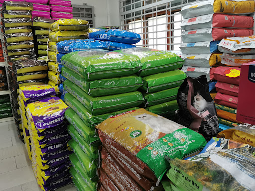 Eppy Cat House (Durian Burung) - Pet Shop Kedai Kucing