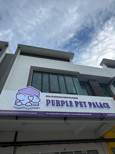 Purple Pet Palace
