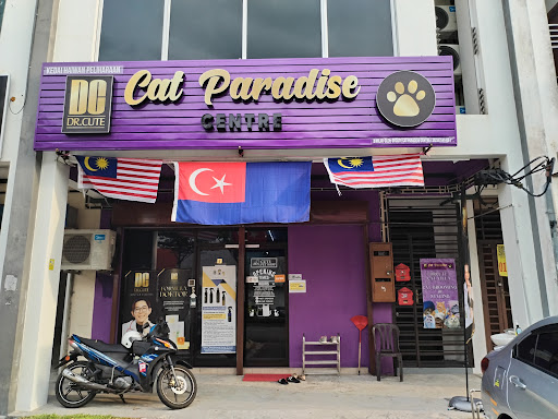 DR.CUTE CAT PARADISE CENTRE