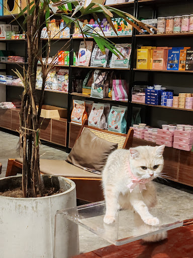 Meow Me Cat House Meow Me Cat House
