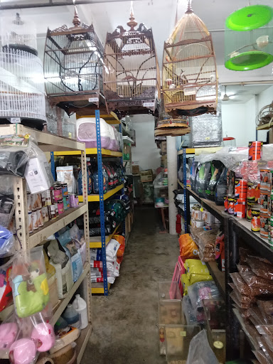 CT Pets Supplies CT Pets Supplies