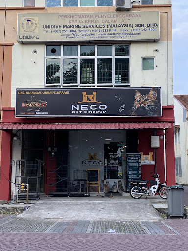 Neco Cat Kingdom Neco Cat Kingdom