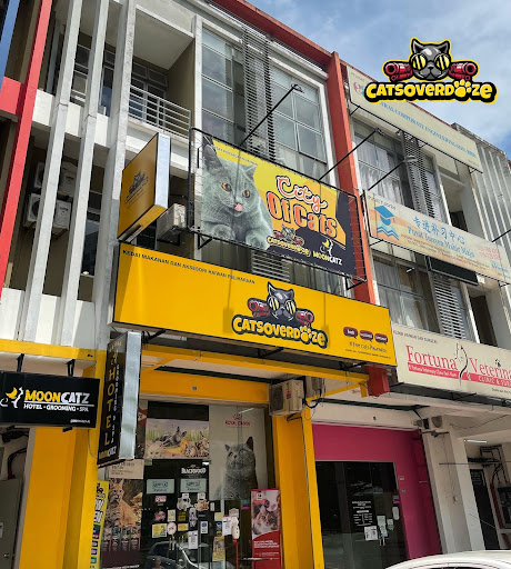 Catsoverdoze Bandar Seri Alam