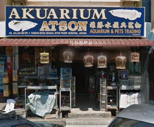 Aston Aquarium & Pet Shop Aston Aquarium & Pet Shop