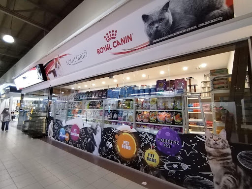 Mysterious Catz (Kip Mall Masai)