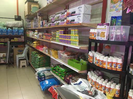 Rongchao Aquarium & Pet Shop Rongchao Aquarium & Pet Shop