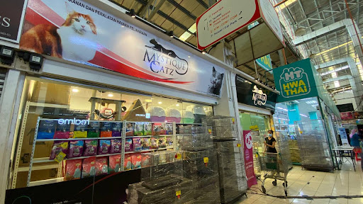 Mystique Catz (TJ Mart Saleng)