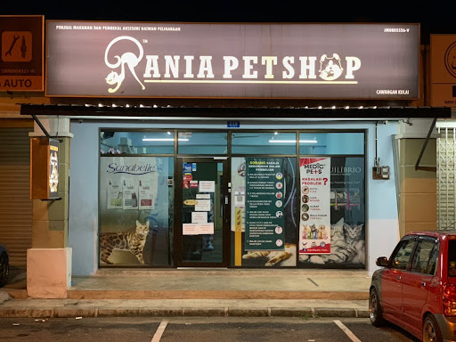 AWEEN CATS @ SPX COLLECTION AWEEN CATS