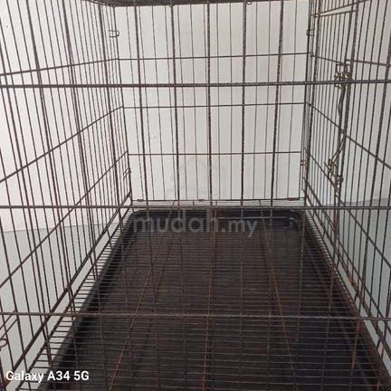 Fairos Pet 2012, Muar, Johor (SANGKAR KUCING TERMURAH) 1 fairos pet 2012 muar johor sangkar kucing termurah