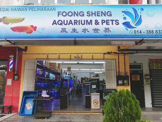 foong sheng aquarium 1 foong sheng aquarium