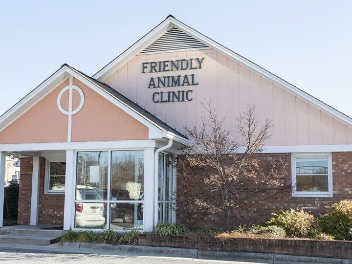 FRIENDLY PETS ANIMAL CLINIC AND SURGERY 1 friendly pets animal clinic and surgery