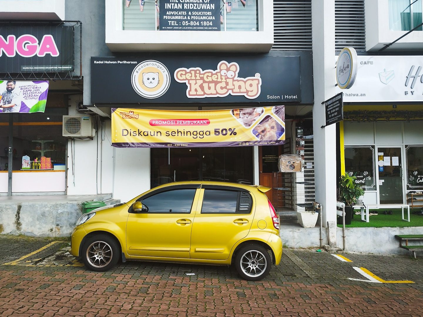 geli geli kucing taiping