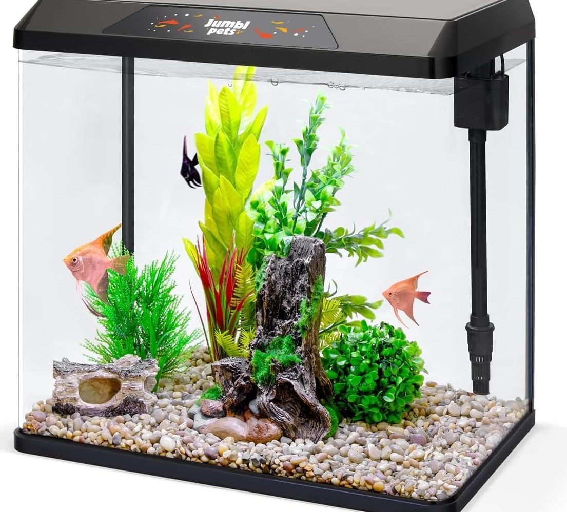 Gemilang Aquarium & Pet Shop 1 gemilang aquarium pet shop 1