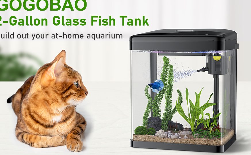 Gogo Pets & Aquarium 1 gogo pets aquarium