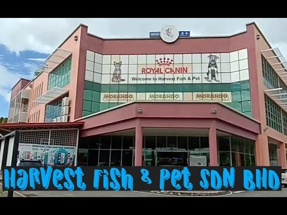 Harvest Fish & Pet SDN BHD 1 harvest fish pet sdn bhd