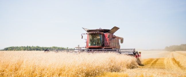 harvest in progress resources