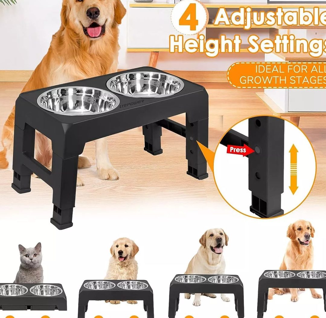 Hobbies Pet Station 1 hobbies pet station