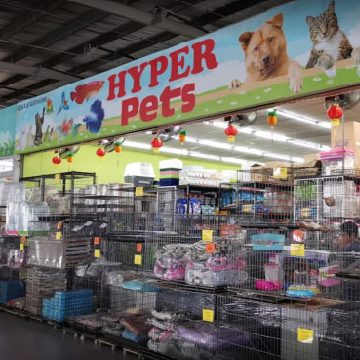 Hyper Pets Centre (Johor Tebrau Pandan - JTP) 1 hyper pets centre johor tebrau pandan jtp