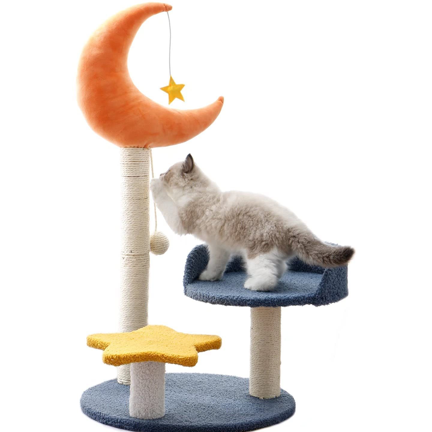 I Star Cat Centre 1 i star cat centre
